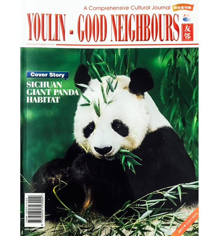 Youlin Magazine